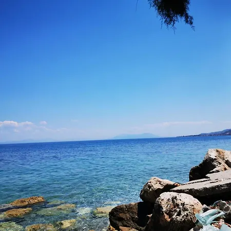 Dimos